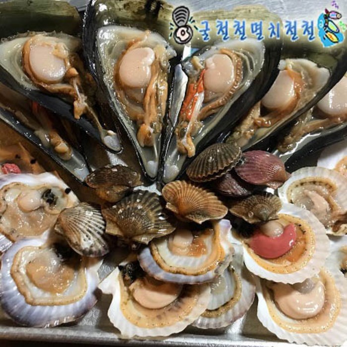 총알오징어1kg 15미내외 오징어통찜, 1개, 큰조개구이세트(4인 찜구이) 대표 이미지 - 키조개 추천