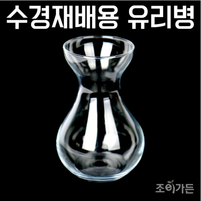 우리화훼종묘(주) 구근 수경재배용 유리용기(유리화병) 대표 이미지 - 구근 식물 추천