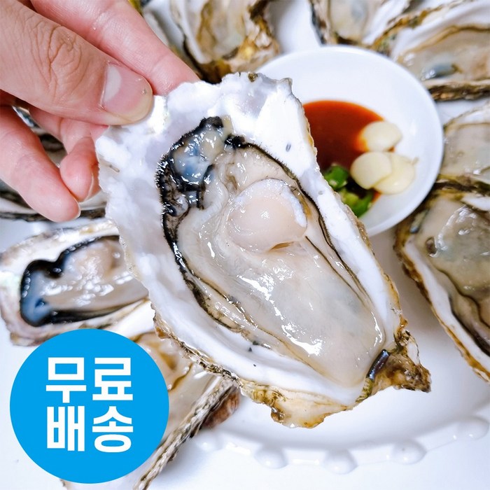 (매일 새벽 조업) 통영 굴 생굴 석화 하프셀, 석화 3kg 대표 이미지 - 석화 굴 추천