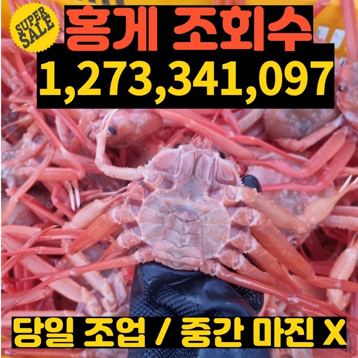 태권수산 [살 좋은 정품홍게] [고급 홍게] 연지홍게 대게 제철홍게 붉은대게 홍개 구룡포홍게, 1 BOX 찜 발송, 3kg 8~10미 [고급형] 살 좋은 홍게 찜 발송 대표 이미지 - 대게 추천