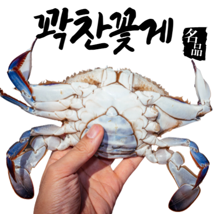 어부언니 국산 냉동 암 꽃게 숫 서해안 제철 산지직송 게장용 급냉 알배기 당일발송, 급냉 암꽃게(3~4미)1kg 대표 이미지 - 알배기 암꽃게 추천