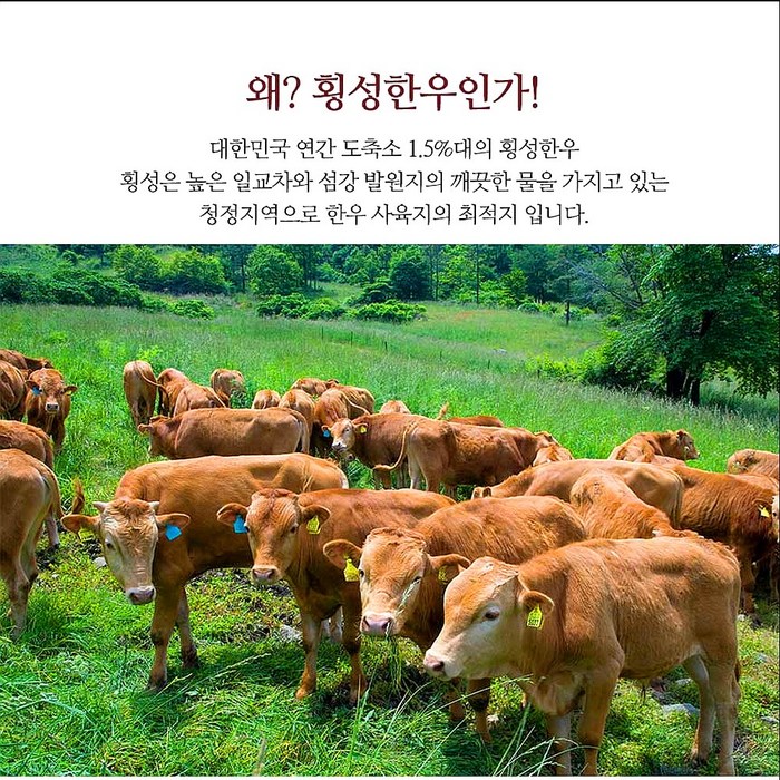 (배터짐) (이벤트 상품) 통 횡성 한우 소머리 반마리 9kg내외, 1개, 통 횡성한우머리 반두 9kg내외 대표 이미지 - 우설 추천