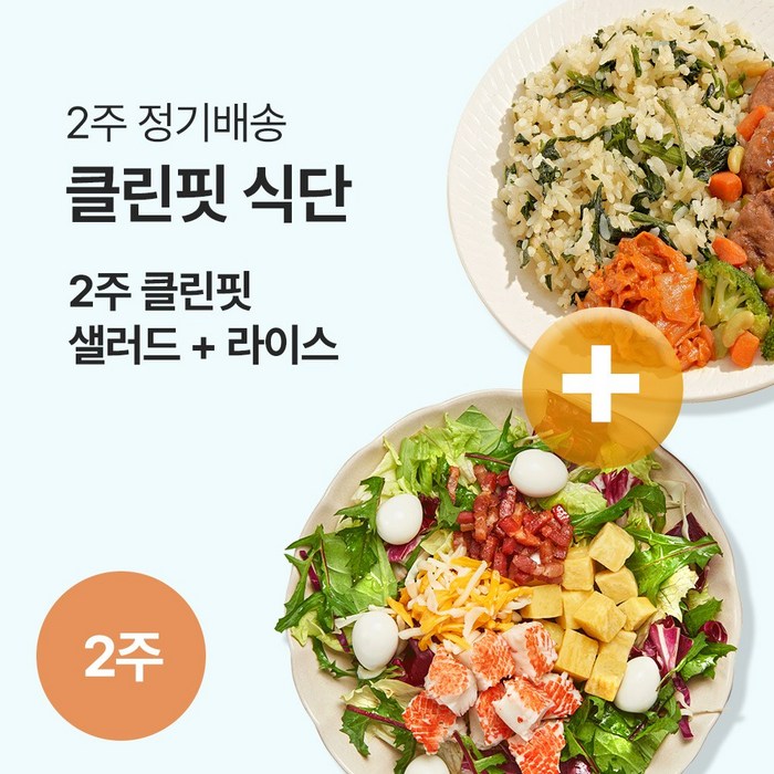 [포켓샐러드] 샐러드&라이스 2주 클린핏 식단 샐러드와 도시락으로 더 맛있게 (총 24팩), 240g, 24팩 대표 이미지 - 샐러드 도시락 추천