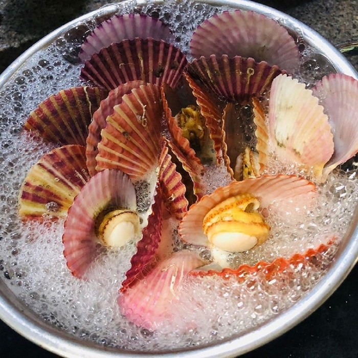 통영 왕바지락 외 제철해산물 고르기, 1개, 홍가리비1kg 대표 이미지 - 석화 굴 추천