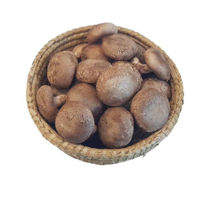 표고버섯 650g 특 대표 이미지 - 버섯전골 추천