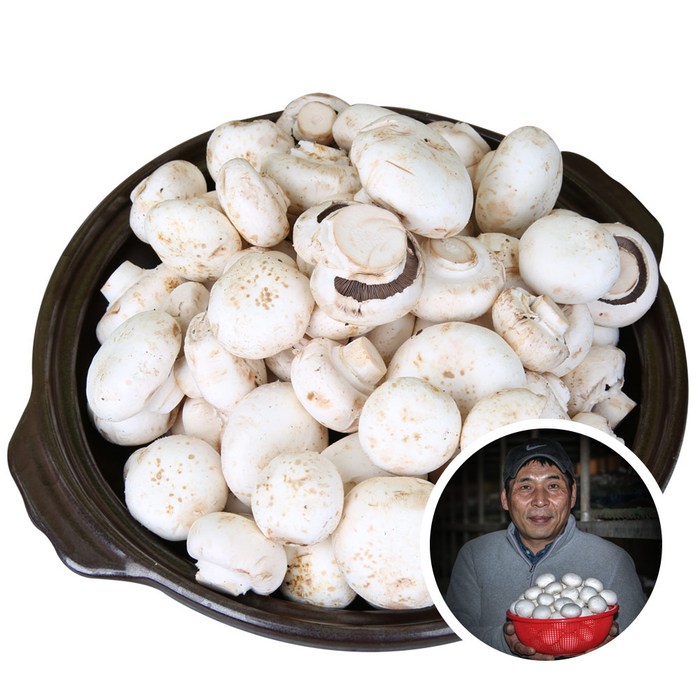 부여 못난이 양송이 버섯 2kg 산지직송 ugly white button mushroom 순차발송, 1box 대표 이미지 - 양송이버섯 추천