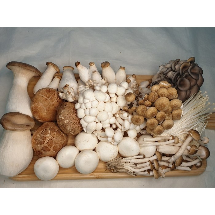 신선따옴 당일포장 무농약 모듬버섯5종, 1개, 1개 대표 이미지 - 버섯전골 추천