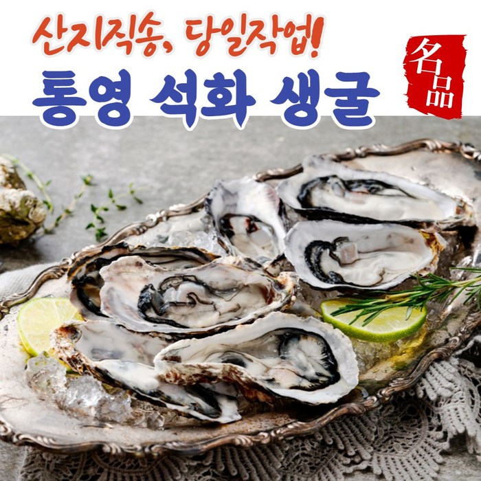 (수출용) 최상급 남해 통영 국내산 산지직송 싱싱한 맛있는 생굴 석화 석굴 하프셀 하프쉘 각 반각 바위 바윗 돌 굴 3kg 5kg 10kg, (1) 국내산석화 3kg 대표 이미지 - 석화 굴 추천