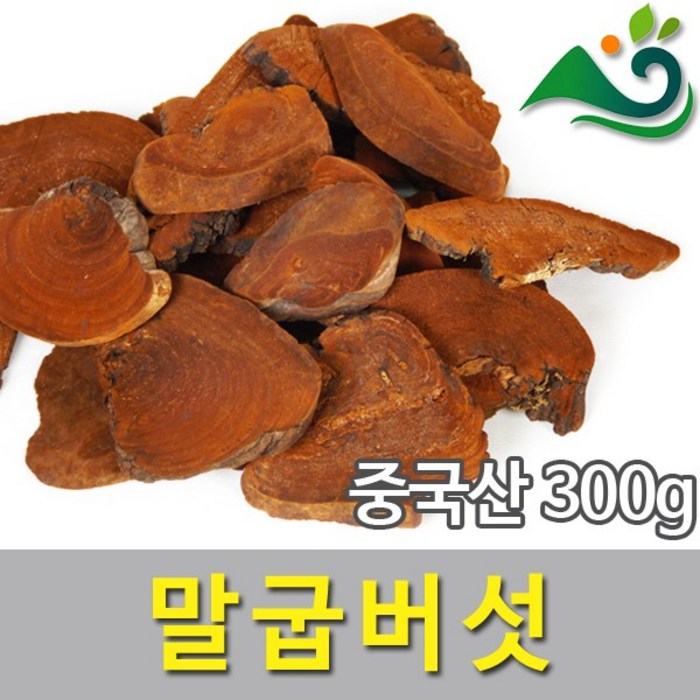 말굽버섯(300g)-중국산, 300g, 1, 1개 대표 이미지 - 말굽버섯 추천