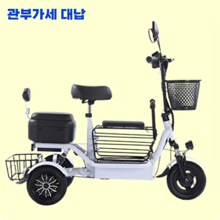 오토닉 고성능 전동 스쿠터 접이식 전기 오토바이 3륜 바이크 배달 출퇴근 배터리 분리형, 1. 화이트