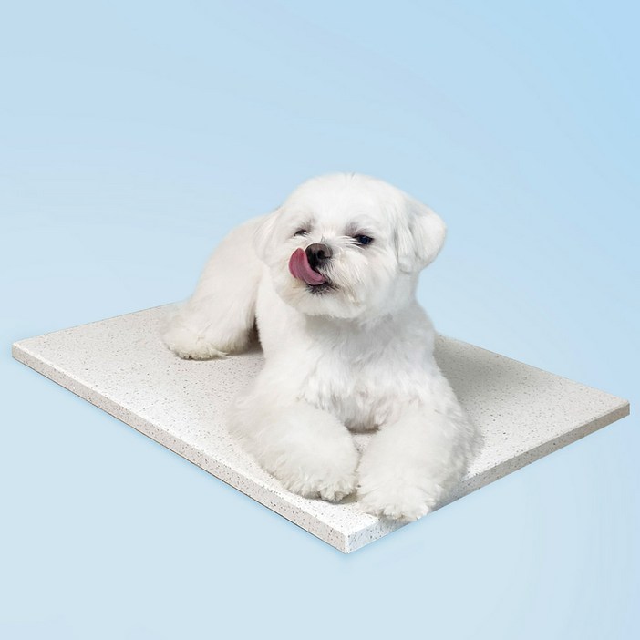 베베페페 강아지 대리석 쿨매트 엔지니어드스톤