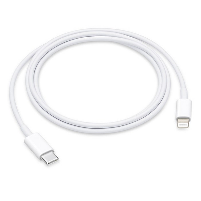 Apple 정품 LightningC타입 충전 케이블, 1m, 1개