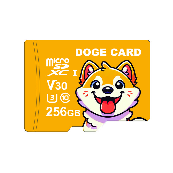 도지카드 마이크로 SD카드 UHS-I 블랙박스 전용 메모리카드, 1개, 256GB