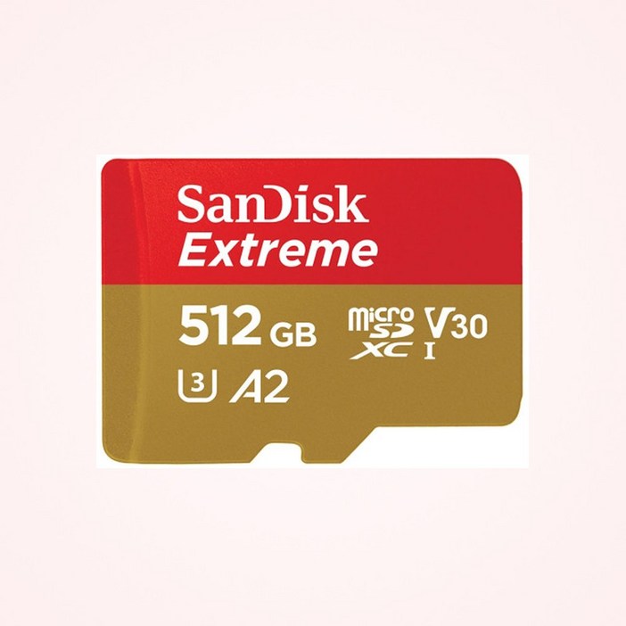 샌디스크 익스트림 메모리카드 마이크로칩 QXA1