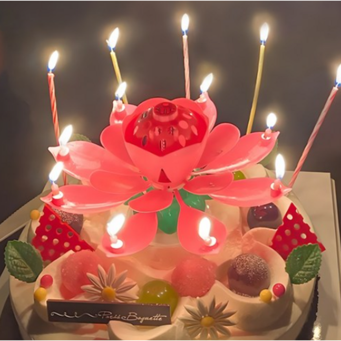 생일축하 회전 멜로디 특이한 생일초 연꽃초 (핑크) 연꽃초 이벤트 파티용품