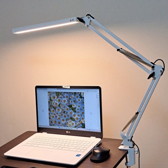 인터리더 LED 스탠드 책상 공부 독서등 엔틱 침대 조명, 클램프형화이트