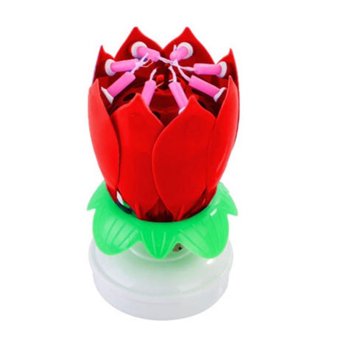 스토리빙 생일 축하 초 연꽃 멜로디 선물 파티 용품  숫자 토퍼 19p 세트, 레드