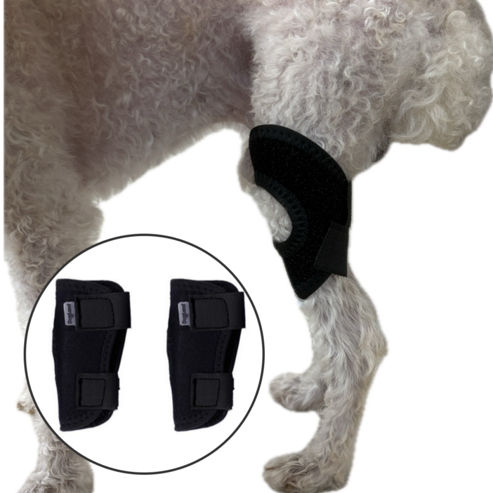 레인펫 강아지 슬개골 보호대,S, 1세트, 14g