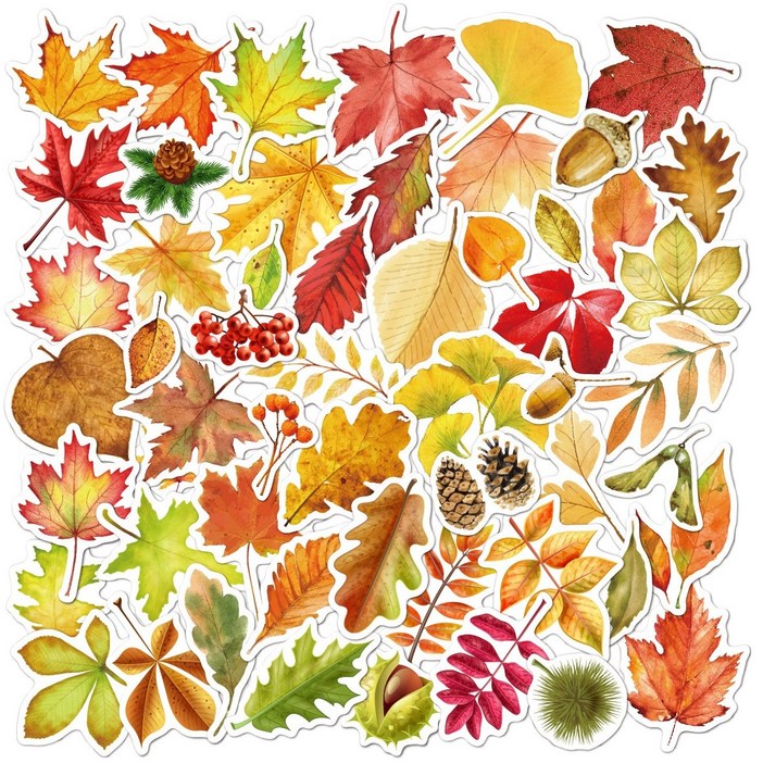 가을 낙엽 다꾸 스티커 B형 세트 나뭇잎 나무 식물 다이어리 꾸미기