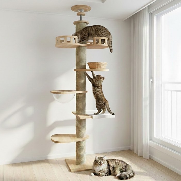 포조이 캣타워 캣폴 튼튼한 다기능 고양이 캣타워 원목 대형 멀티 클라이밍 놀이터 링트리