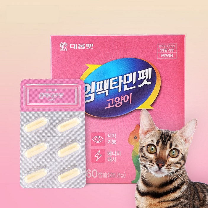 임팩타민펫 대웅펫 고양이 캡슐 영양제, 비타민, 면역력 강화, 60캡슐