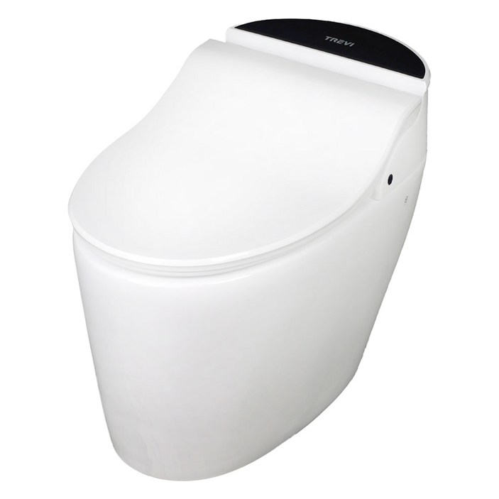 TREVI Bath No.9 자동물내림 일체형 비데  플레이트 랜덤발송, TSTTX5R50RP, 방문설치