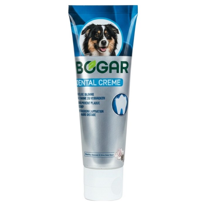 보가 덴탈 크림 치약, 75ml, 1개