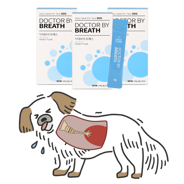 강아지기관지영양제 닥터바이 브레스 강아지 기관지 영양제 기침 호흡기 켁켁거림 보조제