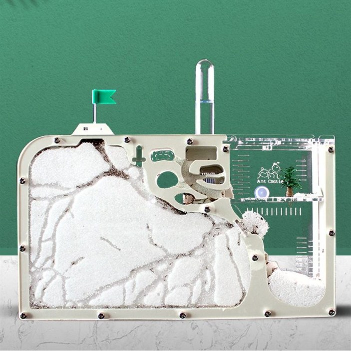 개미 키우기 개미집 관찰 키트 세트