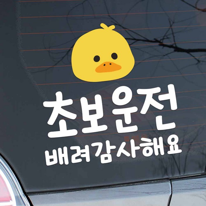 루키마켓 초보운전 포인트 병아리 차량용 스티커