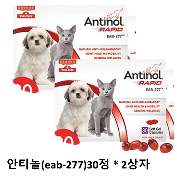 안티놀 래피드 240정