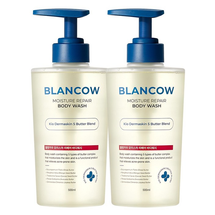 국내 유일 1회사용 피지 47개선 BHA 여드름기능성 바디워시 모공트러블 각질개선 문제성피부 즉각보습, 2개, 500ml