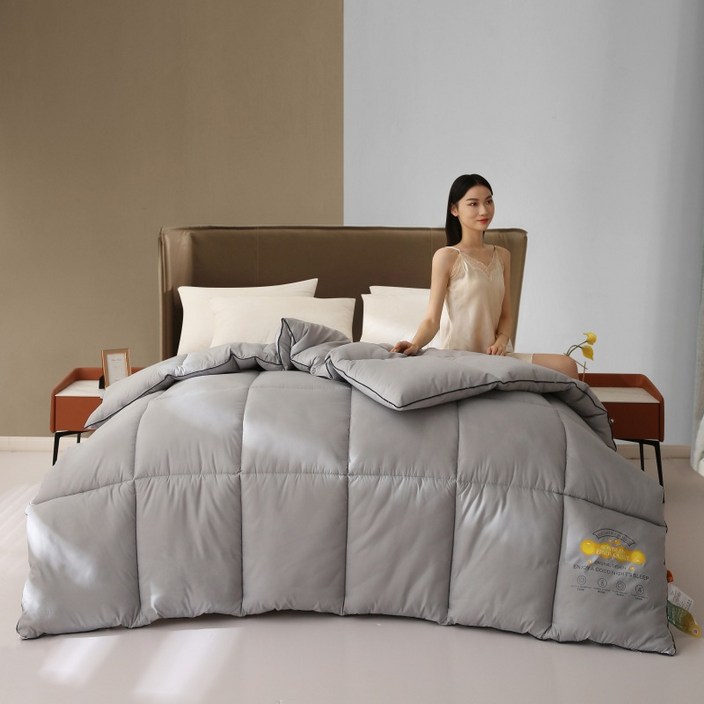 Zebeer 누빔 겨울 차렵이불 먼지없는 소프트 사계절 이불