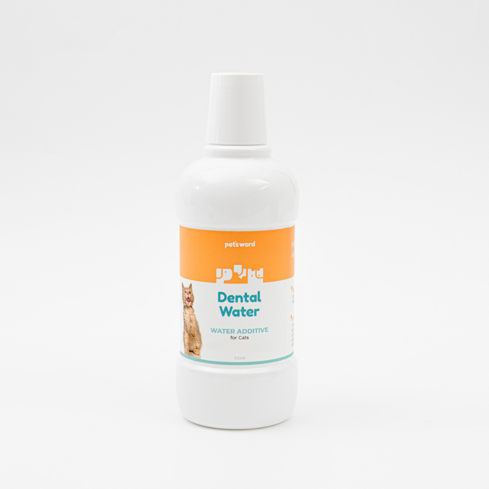 펫츠워드 고양이 덴탈워터, 500ml, 1개 펫츠워드 고양이 덴탈워터, 500ml, 1개