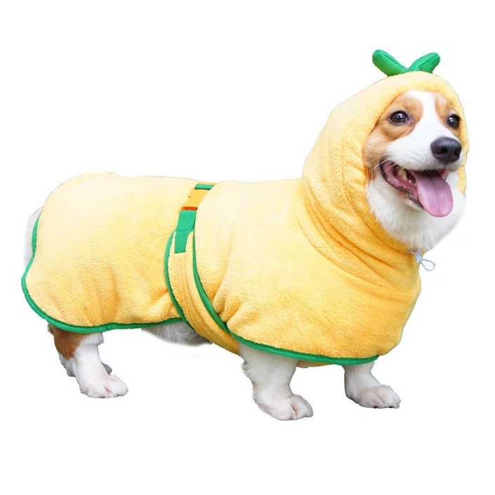 도그월드 강아지 호박 샤워가운 흡수타월 소형견 대형견 용
