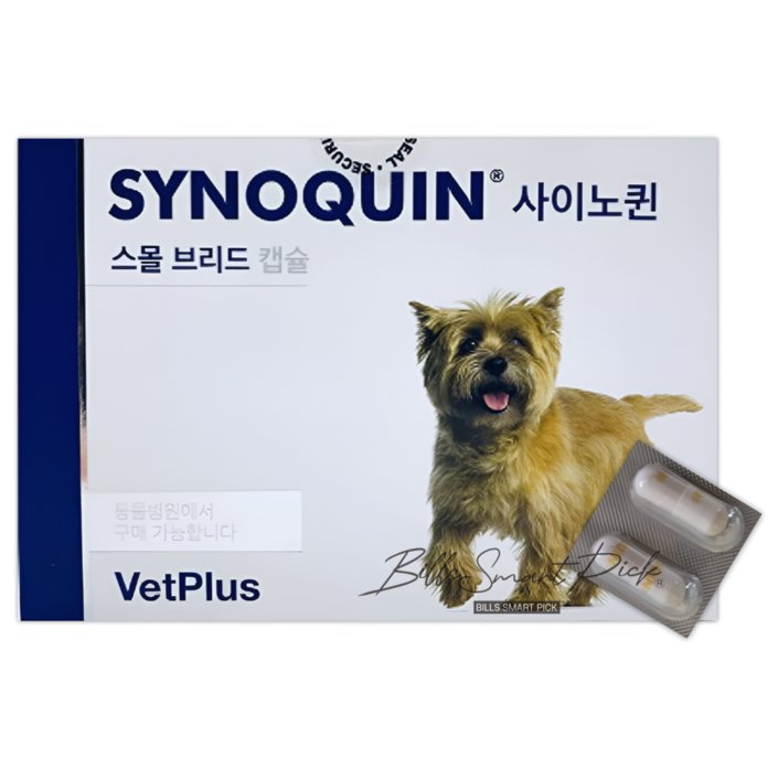 뱃플러스 사이노퀸 영양제 소형견
