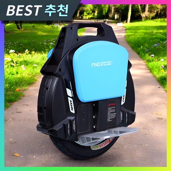 성우전자 전동휠 대리기사 전동 보드 외발 가성비 성인용 이동수단 출퇴근, led 스탠다드, 1개, 블랙