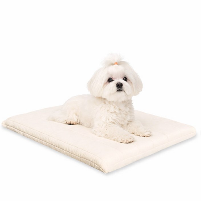 이브수 에어코일 펫베드 40×50 65×50 75×60, 1개, 아이보리