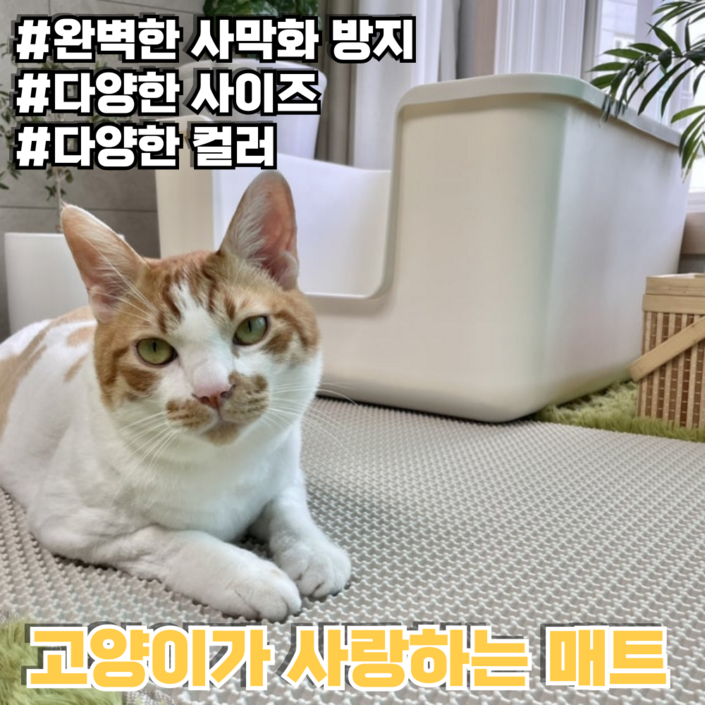 starcat 고양이 사막화 방지 매트 고양이 모래매트 화장실 발판, 1개, 상아색