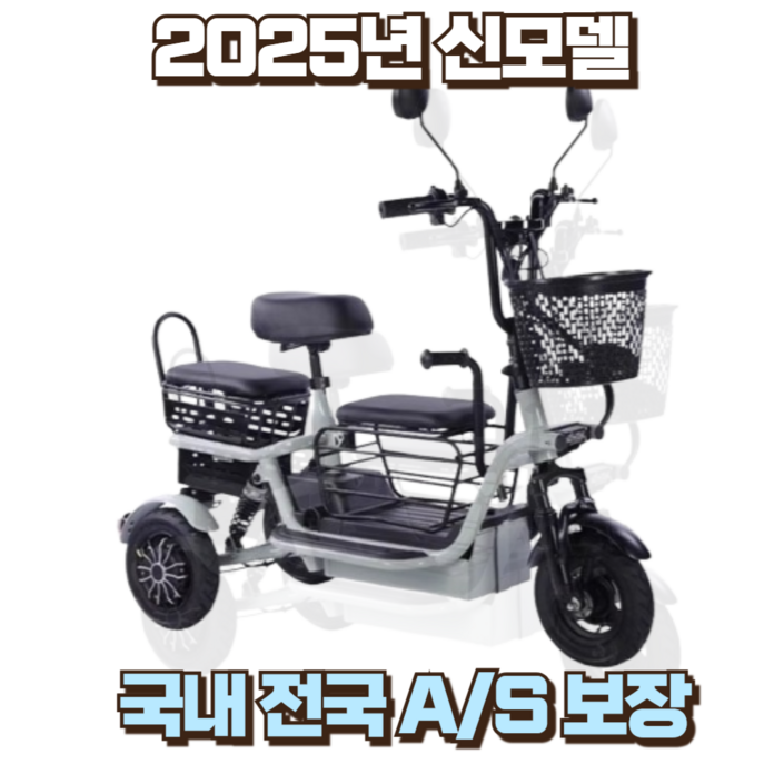 EasyTri 산책 세발전기자전거 배달 전동스쿠터 마실 바이크 성인 충전 전동 출퇴근, 1개