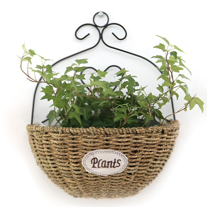 내일의공간 라탄 벽걸이 화분