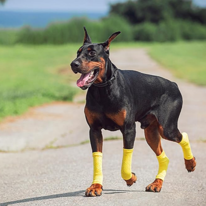 위드레오 강아지 발토시 다리보호대 무릎보호 다리커버
