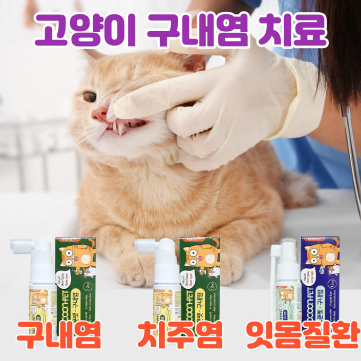 이지캣 고양이 구내염약 구내염 치주염 치은염 잇몸염증 바르는 젤 구강 영양제 20231112