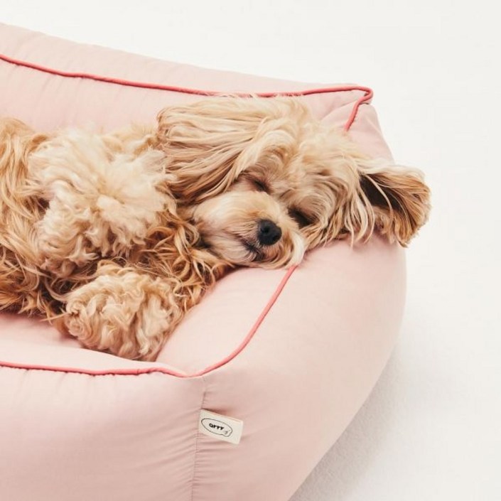 아르르 꿀잠방석v2 M 강아지 고양이 방석 사계절 알러지케어 쿠션