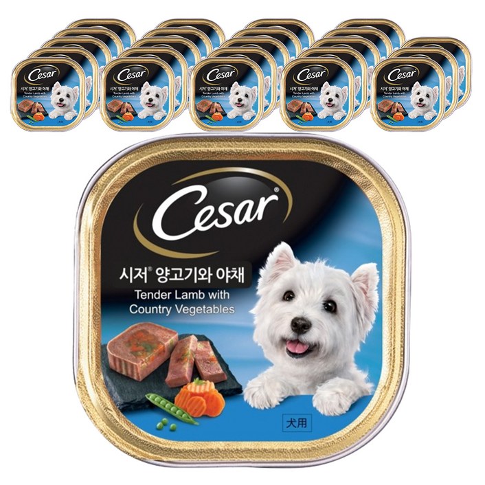 시저 1세 이상 강아지 주식캔