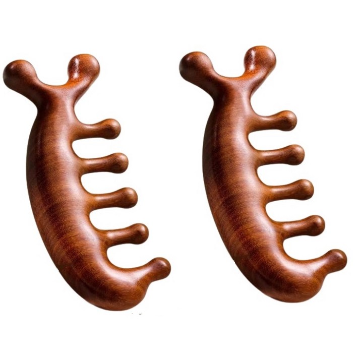 리빙대장 우드 두피 괄사빗 마사지기 2개, 2개
