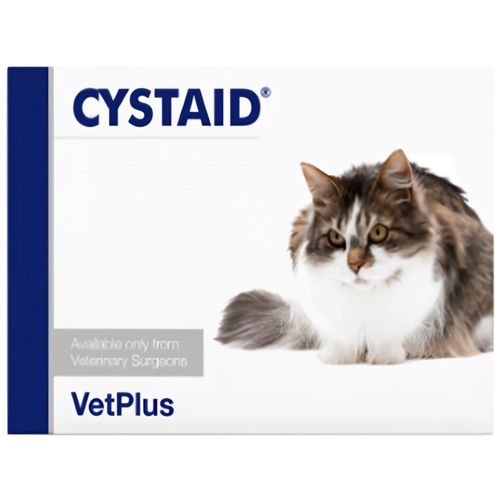 뱃플러스 시스테이드 플러스 고양이 영양보조제