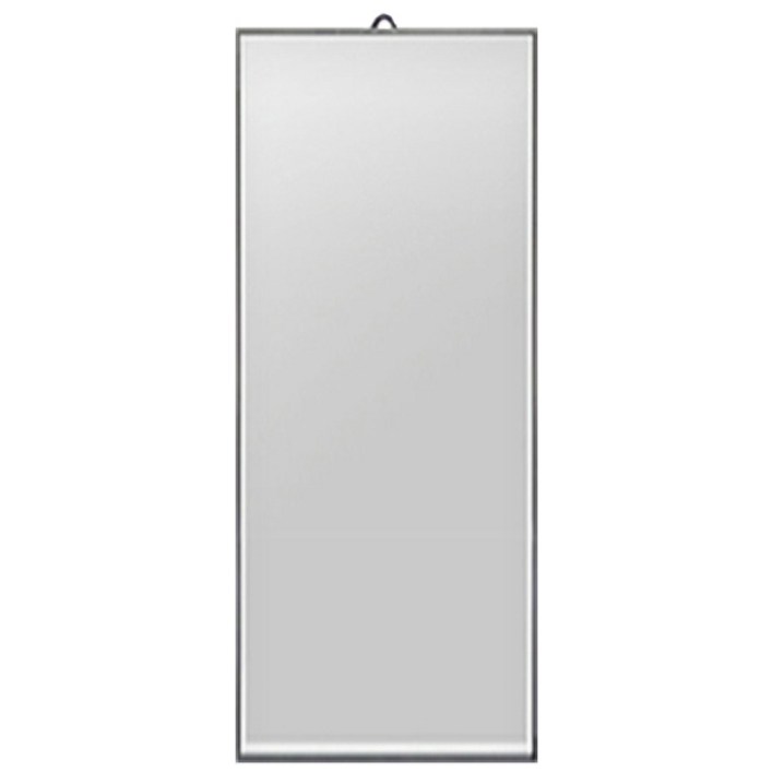 투에스 욕실겸용 벽걸이 거울 대