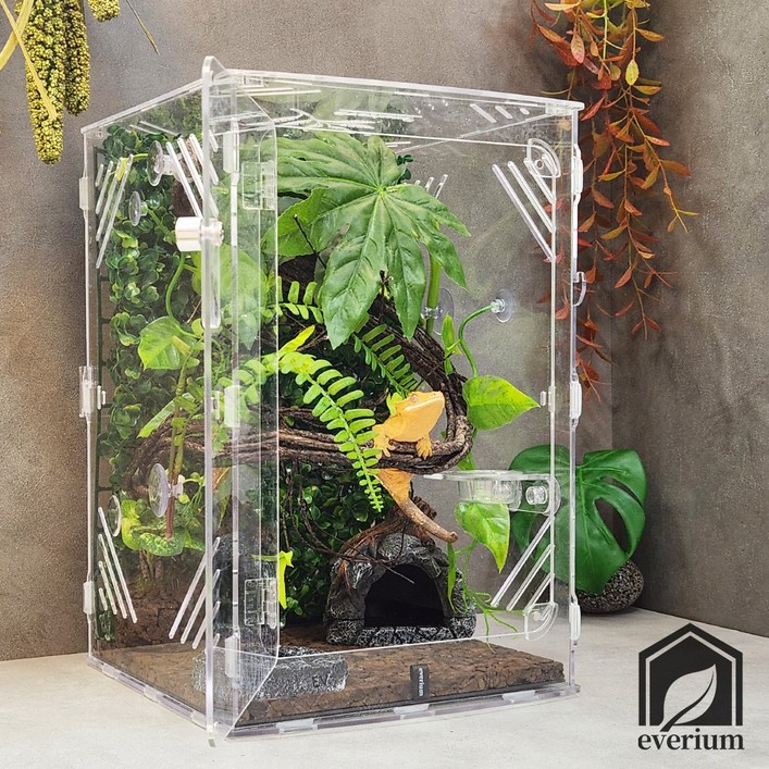 에버리움 크레스티드 게코 도마뱀 아크릴 사육장 세트 - 중형 24x24x36cm
