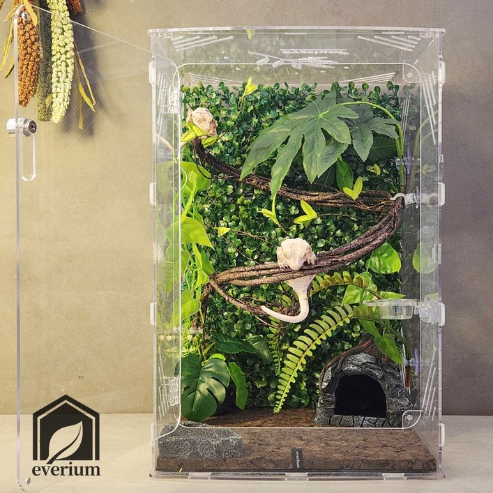 에버리움 크레스티드 게코 도마뱀 아크릴 사육장 세트  대형 30x30x45cm